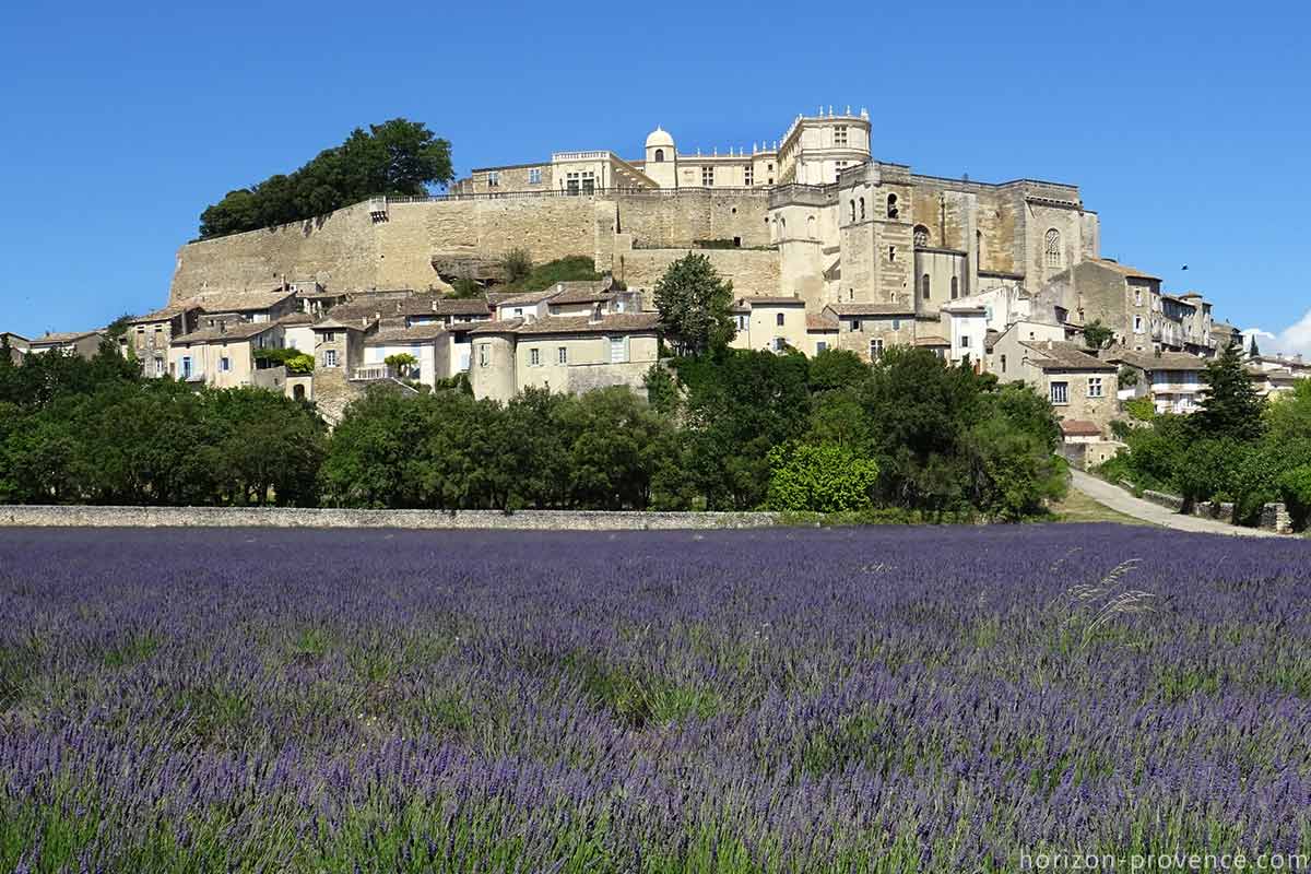 maison de groupe, lavande, location de gite, jacuzzi